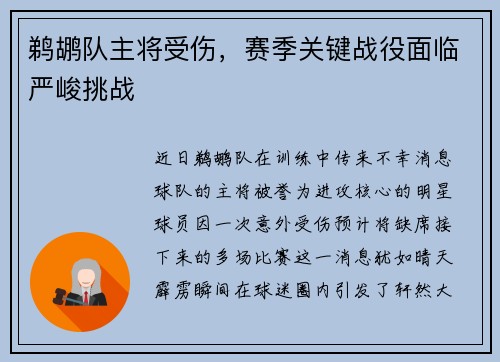 鹈鹕队主将受伤，赛季关键战役面临严峻挑战